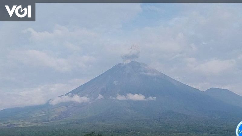 Gunung Semeru 2 Kali Erupsi Dengan Letusan Setinggi 800 Meter