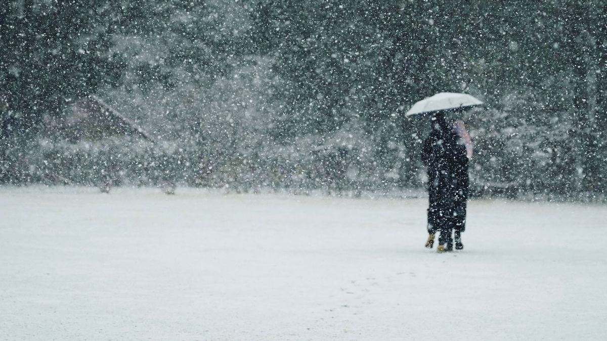 異常気象が新疆ウイグル自治区を襲い、降雪と強風に見舞われて7人が死亡