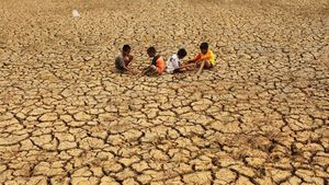 BMKG: Drought Disaster Alert Expands! NTB Is Starting To Enter The Peak Of The Dry Season