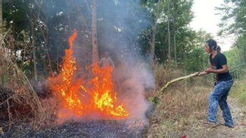 届きにくい場所、BPBDチャンジュールはマニュアルを通じてゴンボン山地域の17ヘクタールの土地火災に対処します