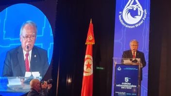 Menteri Basuki Ajak Negara Mediterania Hadiri World Water Forum di Bali