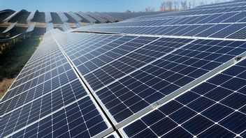 Taking Advantage Of EBT, Pertamina Hulu Rokan Builds 64,000 Solar Panels At The Rokan WK