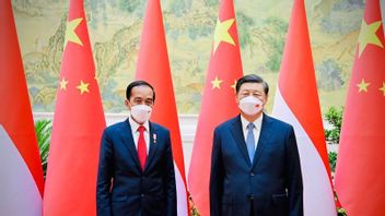 Jokowi And Xi Jinping Will Watch Virtual Rapid Train Dynamical Trials From Bali