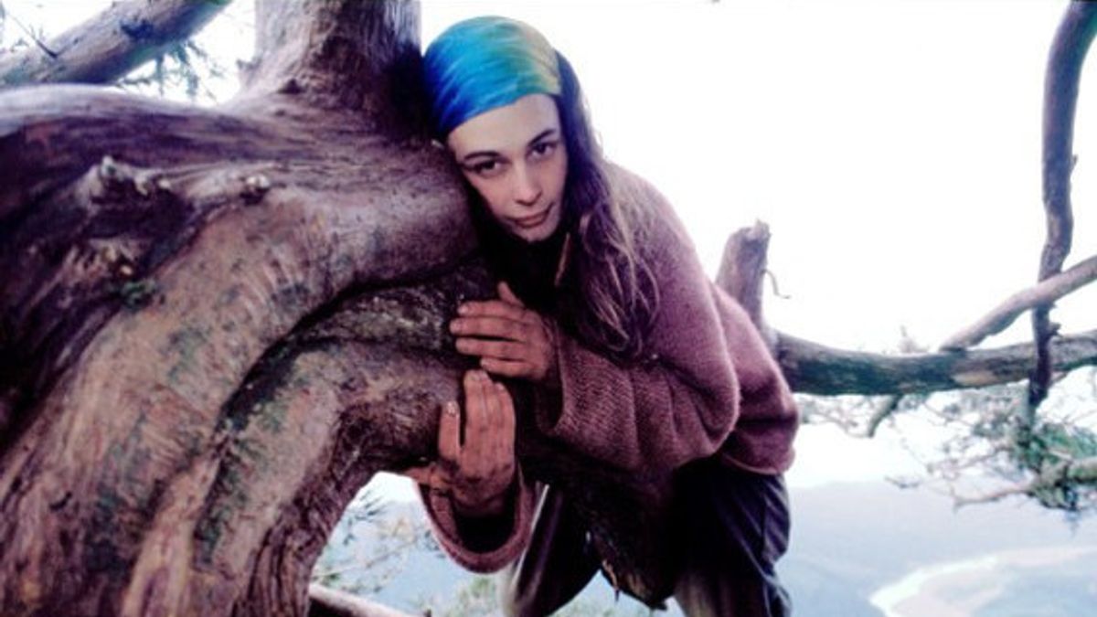 الثامن عشر من كانون الأول (ديسمبر) في التاريخ: جوليا باترفلاي هيل ينزل بعد أن أمضى عامين في العيش في شجرة
