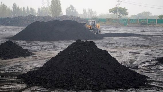 PBNU Forms PT BUMN To Manage 26 Ha Coal Mining Land In East Kalimantan