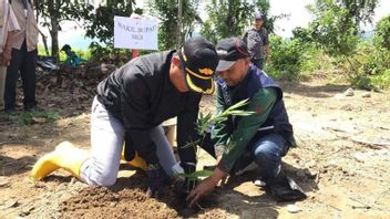 シギ県政府は、潜在的な洪水の氾濫を防ぐために流域に竹を植えます