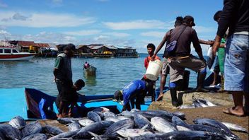 インドネシアと東南アジア地域における違法漁業を根絶するための10カ国が協力