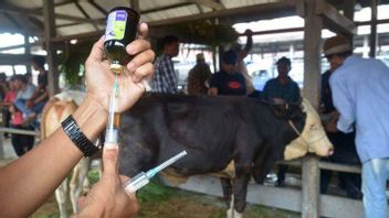 ペルメンタン規制に基づき、エアランガはFMDの影響を受ける牛を置き換えるための基準を明らかにします 
