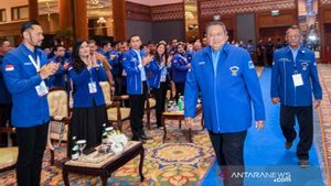 Turun Gunung: Istilah yang Sudah Dua Kali Dipakai Susilo Bambang Yudhoyono Saat Partai Demokrat Menghadapi Masalah