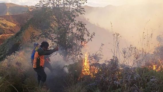 The TNBTS Center Counts The Areas Affected By Forest And Land Fires In The Bromo Area