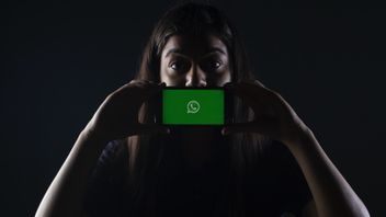 Envisager De Se Détourner De WhatsApp En Raison D’une Nouvelle Politique Qui Oblige