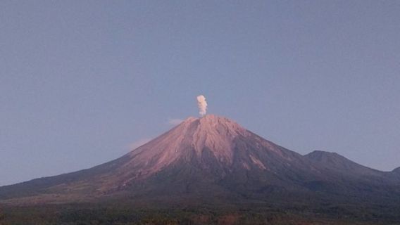 Gunung Semeru Erupsi Lontarkan Abu Vulkanik Setinggi 800 Meter 