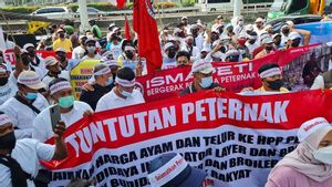 Ratusan Peternak Tuntut Janji Pemerintah terkait Pengadaan 30 Ribu Ton Jagung Pakan