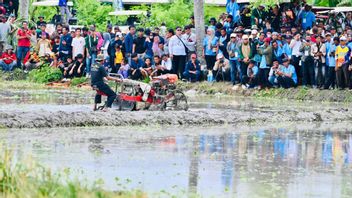 Karawang Raya Harvest, President Prabowo Reviews Modern Agricultural Processing and Technology