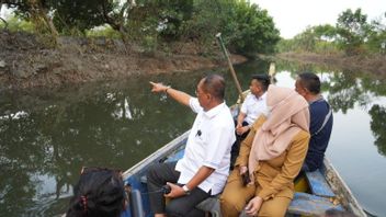 泗水瓦瓦利要求停止元诺雷霍红树林河的正常化