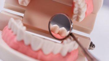 Combien de jours durent les dents poussés? Voici comment surmonter les reins