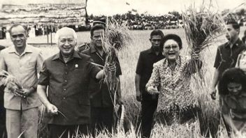 تاريخ الاكتفاء الذاتي والاعتماد على واردات الأرز الإندونيسية