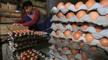BI Prédit Une Inflation De 0,61% En Janvier 2022, Donnée Par Des œufs De Poule