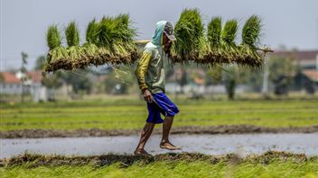 This Is A Step By The Ministry Of Public Works And The Ministry Of Agriculture To Achieve Food Swasembada Targets