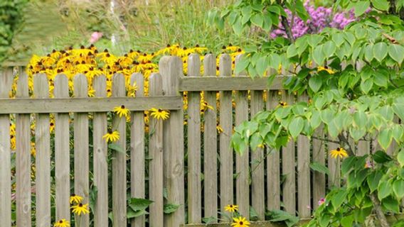 6 Recommendations For Fence Colors Of Houses That Make Pages Feel More Lapang