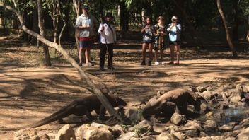 桑迪乌诺确保不会取消或延迟参观科莫多国家公园，每人375万印尼盾