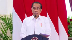 Stop Ekspor Nikel Mentah, Jokowi: Bapak-Ibu Bisa Lihat, 3 Tahun Lagi Mobil Listrik Bermunculan dari Negara Kita