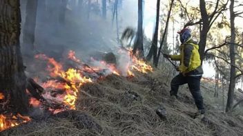 警方揭露中加里曼丹10起土地和森林焚烧案件,12名肇事者得到保障