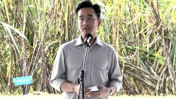 Gibran Ingatkan Transisi Energi Jangan Sampai Bebankan Ekonomi Rakyat Kecil