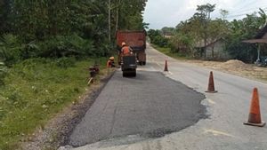 Menteri PU Dody Hanggodo Pastikan Jalan Nasional di Langkat Kembali Normal Pascabanjir