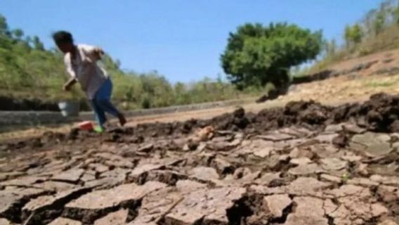 Amazon Acute Drought, Brazil Emergency Status