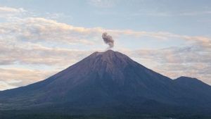Senin Pagi, Gunung Semeru Kembali Erupsi Disertai Letusan Abu Vulkanik