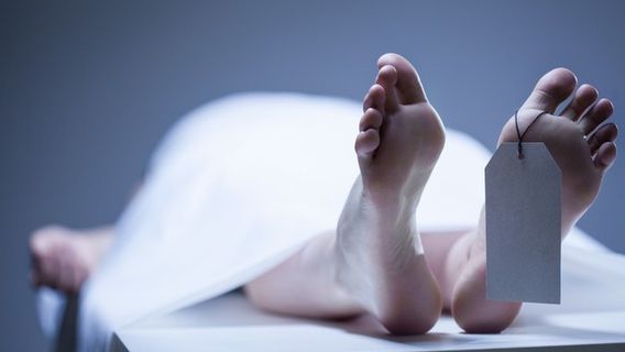 سكان مدينة النحاس جاكسل متحمسون للعثور على رأس جثة امرأة مكسورة ، الشرطة: انتحار يقفز من الطابق 7th   