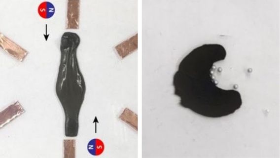 科学家创造出对人体有用的弹性机器人