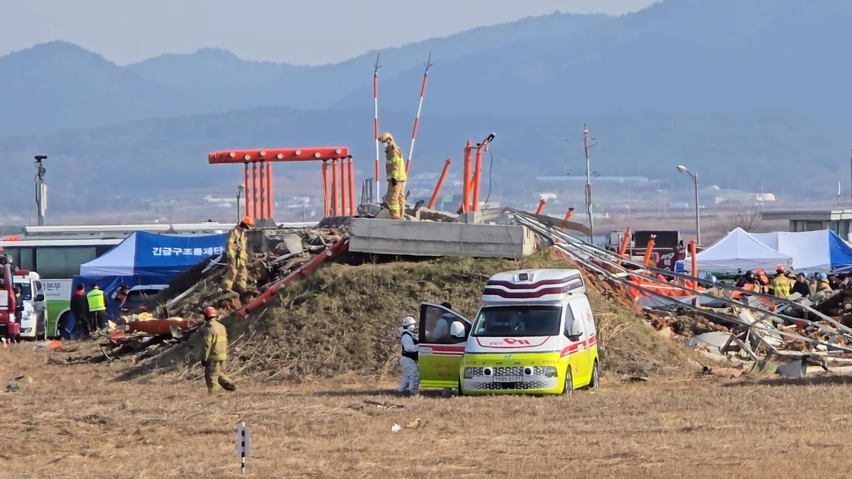 韩国当局在济州航空事故发生前确认鸟类碰撞