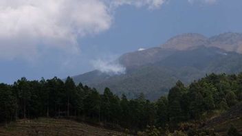 雅加达登山者在拉蒂莫琼苏尔塞尔山死亡