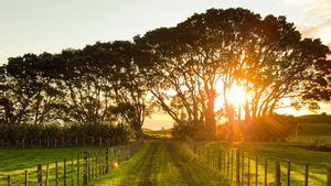 La richesse potentielle de la nature énorme, 6 villages de Kubu Raya reçoivent des prix touristiques