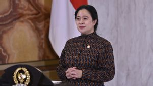 Harlah Ke-62 PMII, Ketua DPR Kutip Pidato Bung Karno: NKRI Adalah Harga Mati