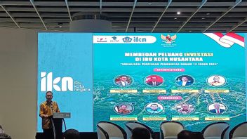 OIKN Head: IKN Logo Will Be Announced By President Jokowi Soon