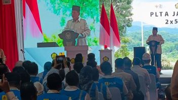 Presiden Prabowo Sebut Peresmian Proyek Kelistrikan 3,2 GW Bagian Kerja Jokowi