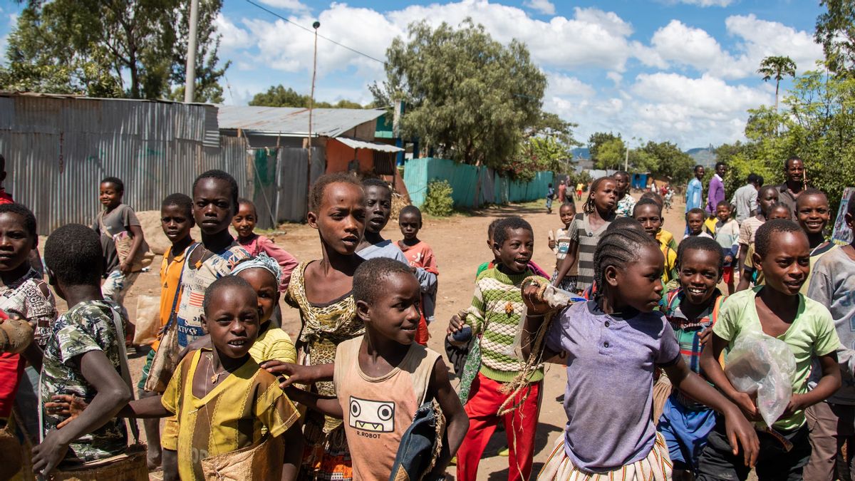 91%的埃塞俄比亚虎座人口面临饥饿和死亡风险