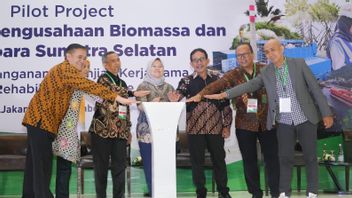 انتقال الطاقة ، بوكيت أسام يدعم تطوير الكتلة الحيوية ل Pltu Cofire في جنوب سومطرة