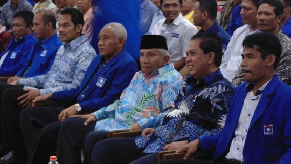 Partai Baru Besutan Amien Rais Harusnya Cari Sosok Baru