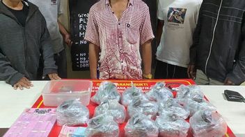 경찰이 길리 트라왕안에서 압수한 마법의 버섯 2.2kg