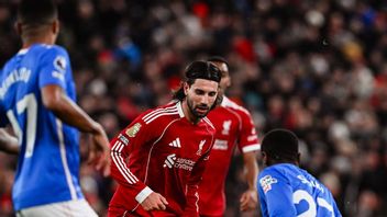 利物浦已经失去了光环，现在看起来更脆弱，所以他们不害怕