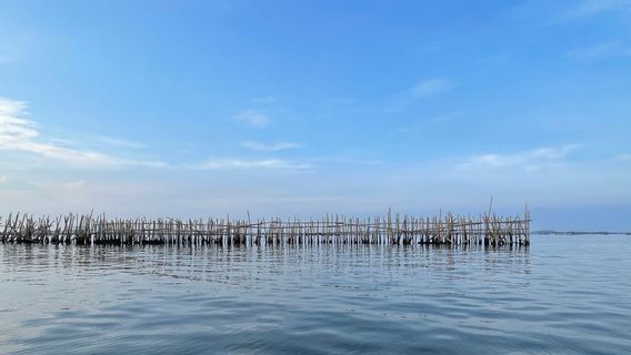 Pagar Laut Juga Muncul di Sekitar Pulau C Reklamasi, Pemprov DKI: Kewenangan Pemerintah Pusat