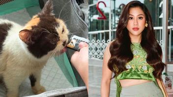 Uya Kuya Cat Evacuation, Sherina Munaf Reveals Her Conditions Are Worrying