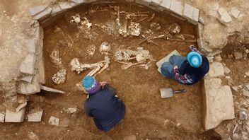 人类头骨在5000年前的苏格兰坟墓的废墟中发现