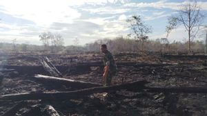 Asap Hilang, Napas Lega: Lahan 6,5 Hektare di Aceh Barat Akhirnya Padam Total
