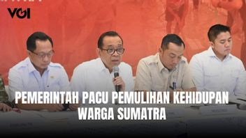 Pemerintah Pacu Pemulihan Kehidupan Warga Sumatra, Menko PMK: Huntara dan Huntap Mulai Dibangun