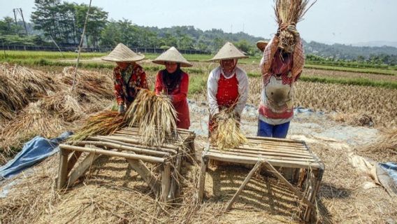 La production alimentaire nationale doit être renforcée pour prévenir l'impact du conflit dans le Moyen-Orient